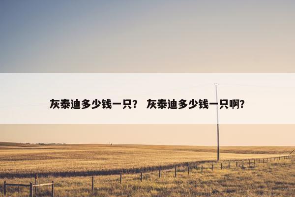 灰泰迪多少钱一只？ 灰泰迪多少钱一只啊？