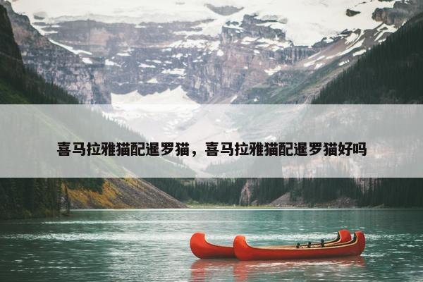 喜马拉雅猫配暹罗猫，喜马拉雅猫配暹罗猫好吗