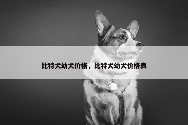 比特犬幼犬价格，比特犬幼犬价格表