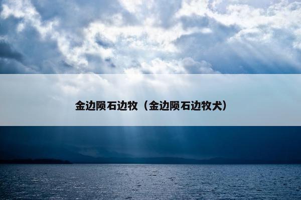金边陨石边牧（金边陨石边牧犬）