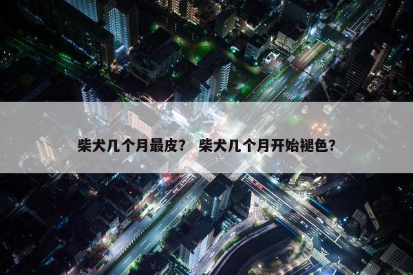 柴犬几个月最皮？ 柴犬几个月开始褪色？