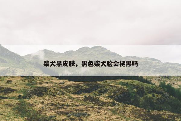 柴犬黑皮肤，黑色柴犬脸会褪黑吗