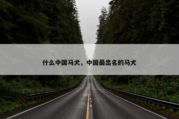 什么中国马犬，中国最出名的马犬