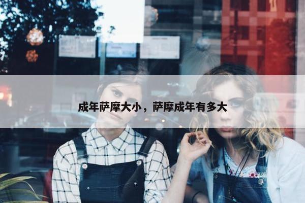 成年萨摩大小，萨摩成年有多大