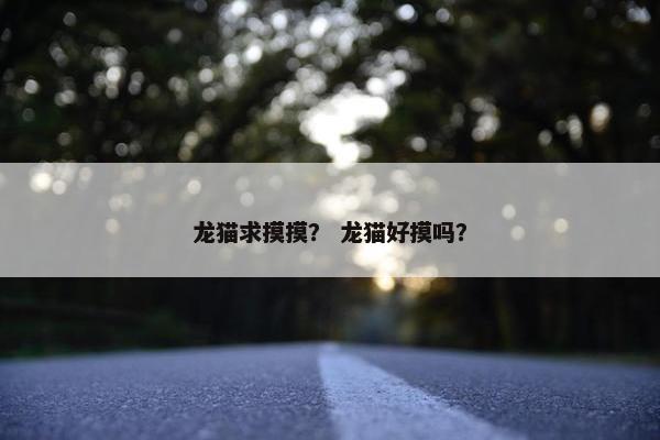 龙猫求摸摸？ 龙猫好摸吗？