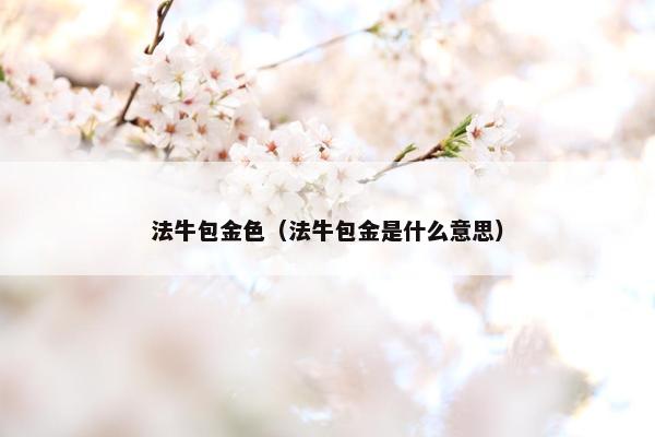 法牛包金色（法牛包金是什么意思）
