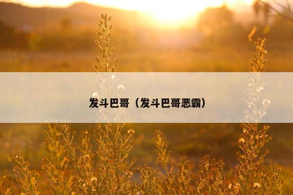 发斗巴哥（发斗巴哥恶霸）