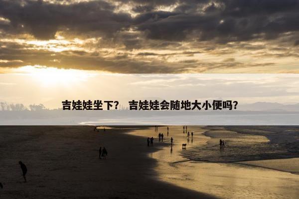 吉娃娃坐下？ 吉娃娃会随地大小便吗？