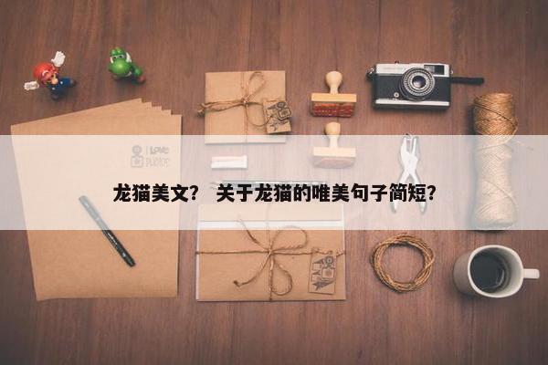 龙猫美文？ 关于龙猫的唯美句子简短？