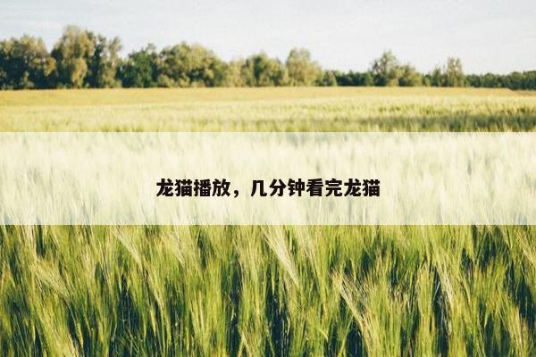龙猫播放，几分钟看完龙猫