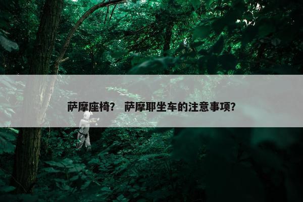 萨摩座椅？ 萨摩耶坐车的注意事项？