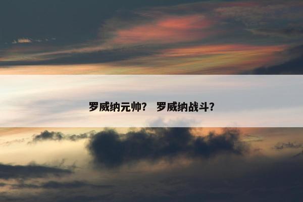 罗威纳元帅？ 罗威纳战斗？