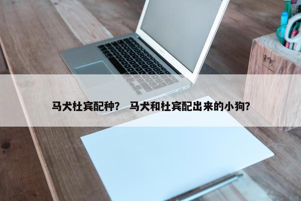 马犬杜宾配种？ 马犬和杜宾配出来的小狗？