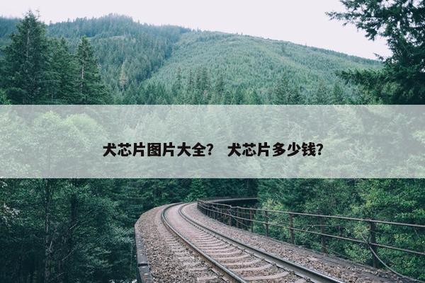 犬芯片图片大全？ 犬芯片多少钱？