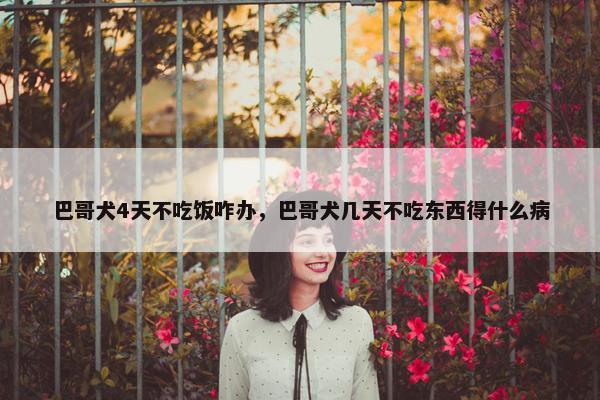 巴哥犬4天不吃饭咋办，巴哥犬几天不吃东西得什么病