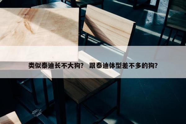 类似泰迪长不大狗？ 跟泰迪体型差不多的狗？
