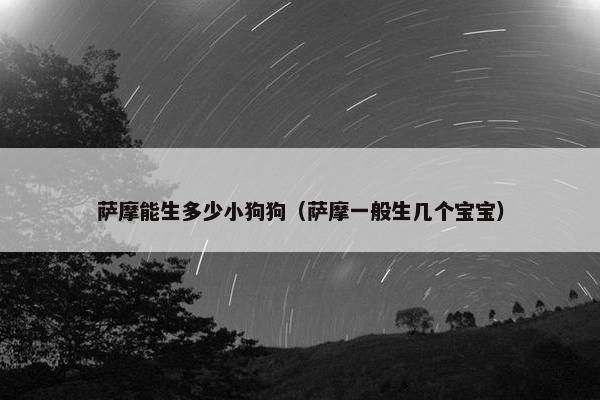 萨摩能生多少小狗狗（萨摩一般生几个宝宝）