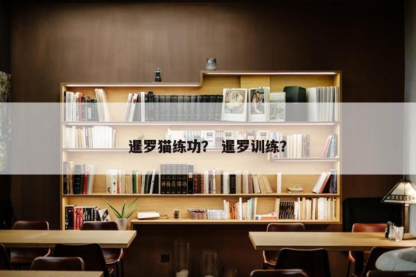 暹罗猫练功？ 暹罗训练？
