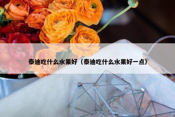 泰迪吃什么水果好（泰迪吃什么水果好一点）