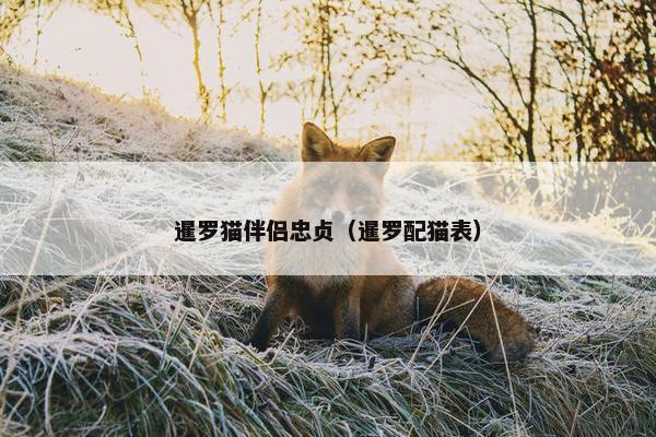 暹罗猫伴侣忠贞（暹罗配猫表）