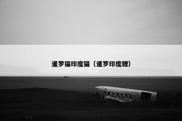 暹罗猫印度猫（暹罗印度鲤）
