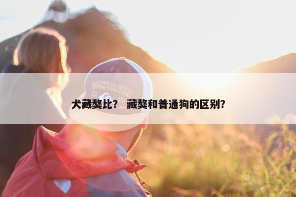 犬藏獒比？ 藏獒和普通狗的区别？