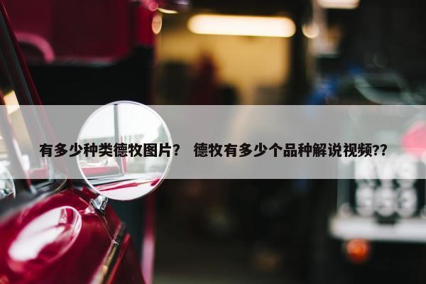 有多少种类德牧图片？ 德牧有多少个品种解说视频?？