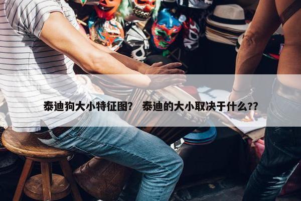 泰迪狗大小特征图？ 泰迪的大小取决于什么?？