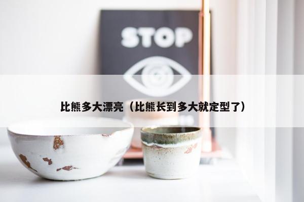 比熊多大漂亮（比熊长到多大就定型了）