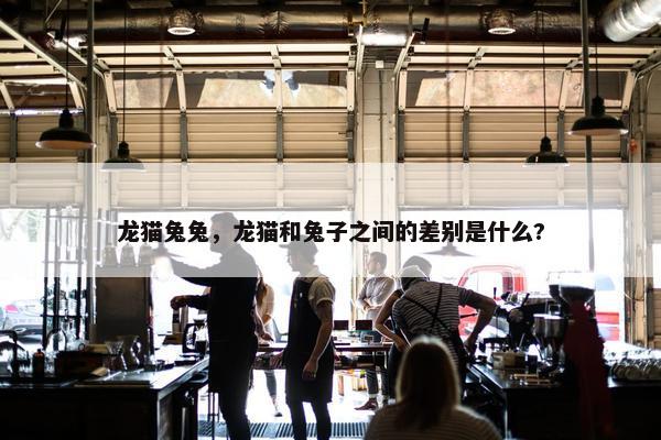 龙猫兔兔，龙猫和兔子之间的差别是什么?