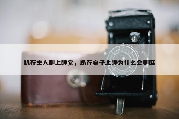 趴在主人腿上睡觉，趴在桌子上睡为什么会腿麻
