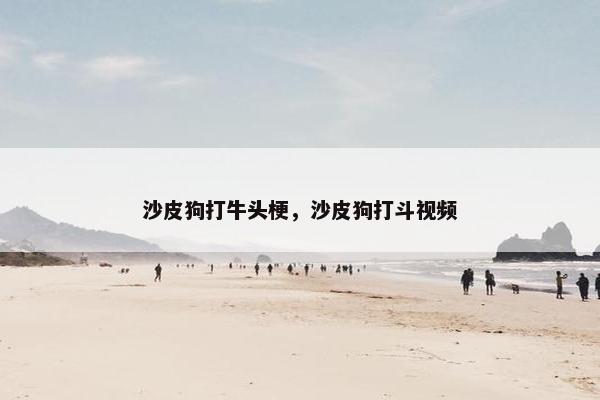 沙皮狗打牛头梗，沙皮狗打斗视频