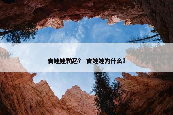 吉娃娃勃起？ 吉娃娃为什么？