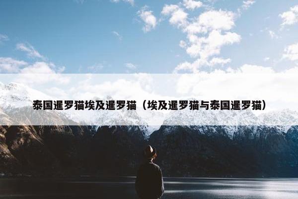 泰国暹罗猫埃及暹罗猫（埃及暹罗猫与泰国暹罗猫）
