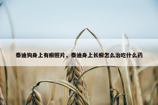 泰迪狗身上有癣照片，泰迪身上长癣怎么治吃什么药