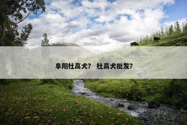 阜阳杜高犬？ 杜高犬批发？