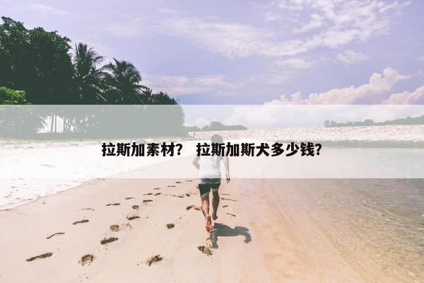 拉斯加素材？ 拉斯加斯犬多少钱？