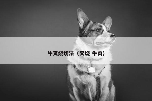 牛叉烧切法（叉烧 牛肉）