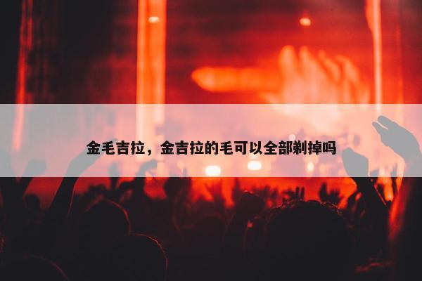 金毛吉拉，金吉拉的毛可以全部剃掉吗