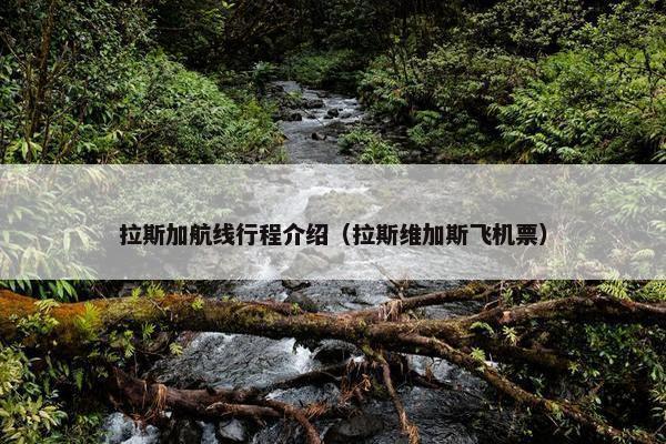 拉斯加航线行程介绍（拉斯维加斯飞机票）