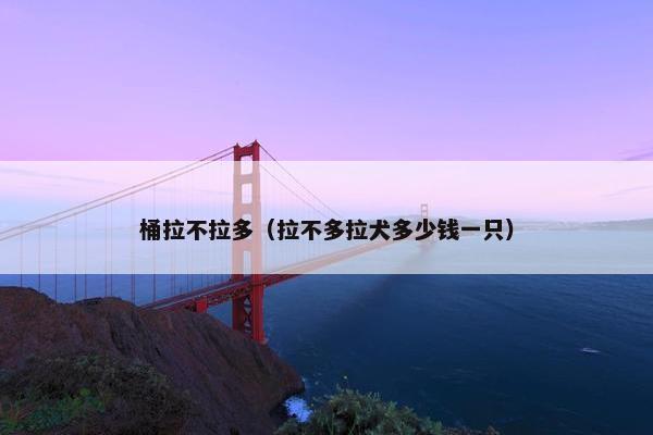 桶拉不拉多（拉不多拉犬多少钱一只）