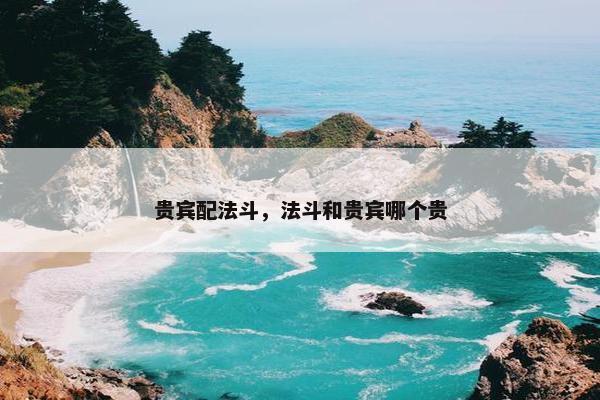 贵宾配法斗，法斗和贵宾哪个贵
