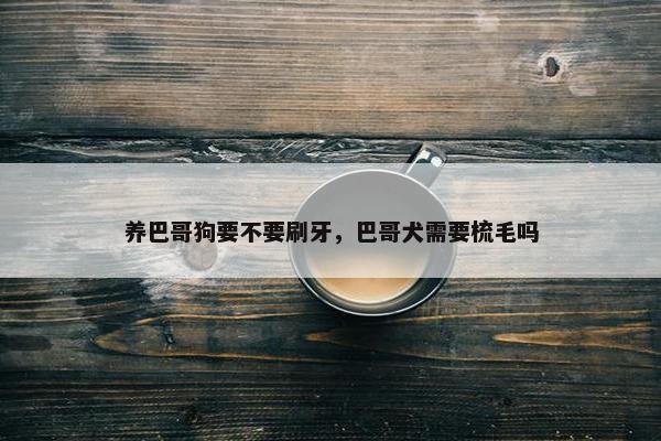 养巴哥狗要不要刷牙，巴哥犬需要梳毛吗