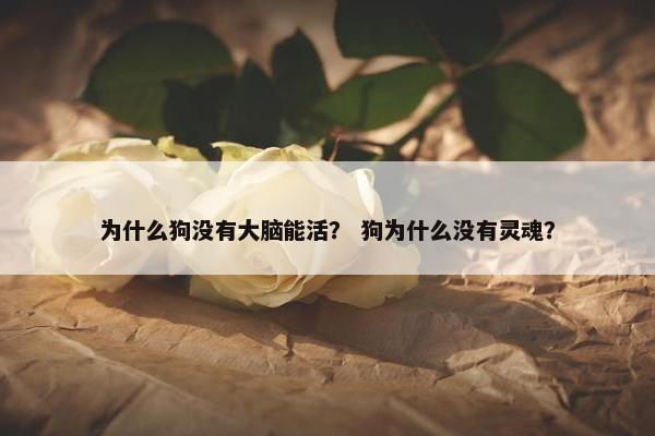 为什么狗没有大脑能活？ 狗为什么没有灵魂？