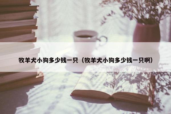 牧羊犬小狗多少钱一只（牧羊犬小狗多少钱一只啊）