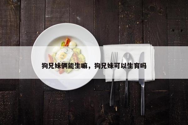 狗兄妹俩能生嘛，狗兄妹可以生育吗