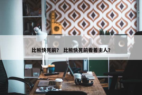 比熊快死前？ 比熊快死前看着主人？
