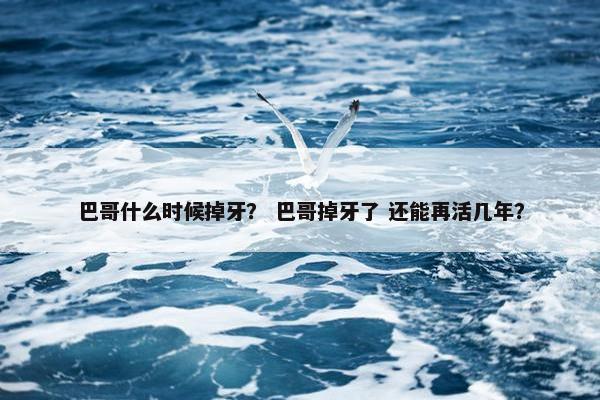巴哥什么时候掉牙？ 巴哥掉牙了 还能再活几年？