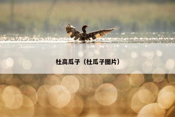 杜高瓜子（杜瓜子图片）