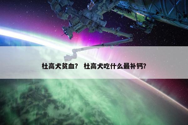 杜高犬贫血？ 杜高犬吃什么最补钙？